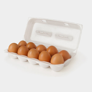 Expanded Polystyrene EGG Cartons