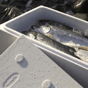 Expanded Polystyrene Fish Box Small Size