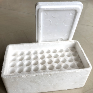 Expanded Polystyrene Ampoule Container